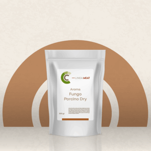 AROMI - fungo porcino dry