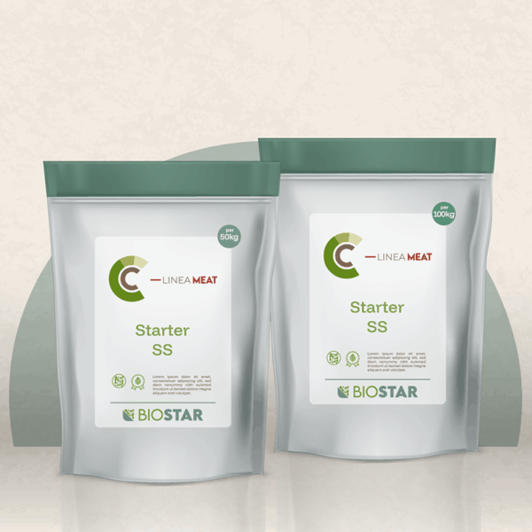 BIOSTAR - Starter SS
